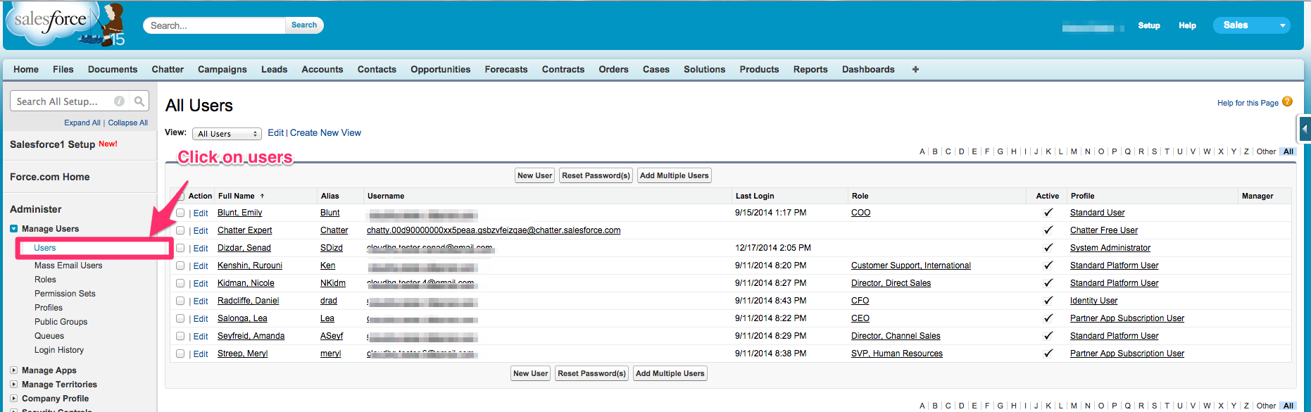 salesforce user audit